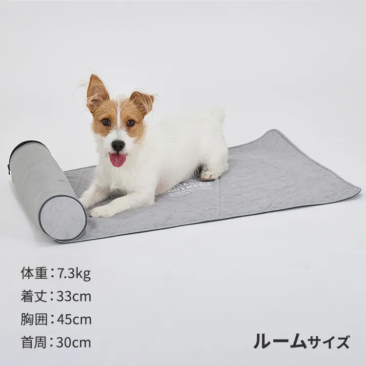 マンダリンブラザーズ アイシーコージーミニマット