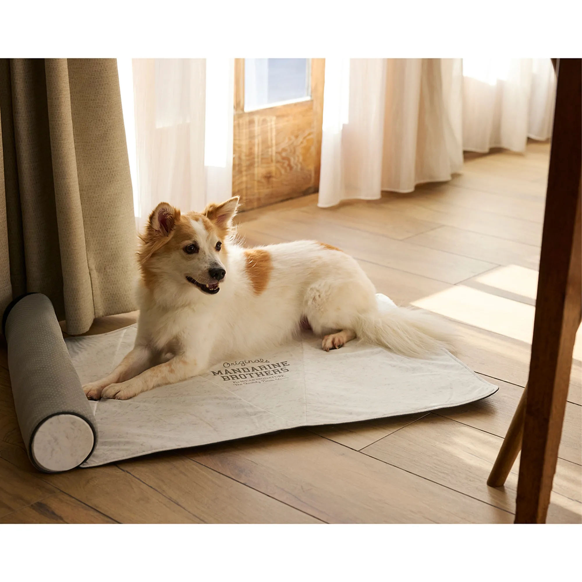 マンダリンブラザーズ アイシーコージーミニマット