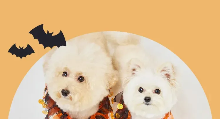 ダッドウェイ FAD プラッシュトイ ハロウィン