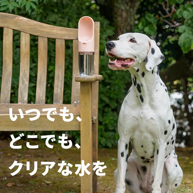 FAD ワンタッチ・浄水ボトル