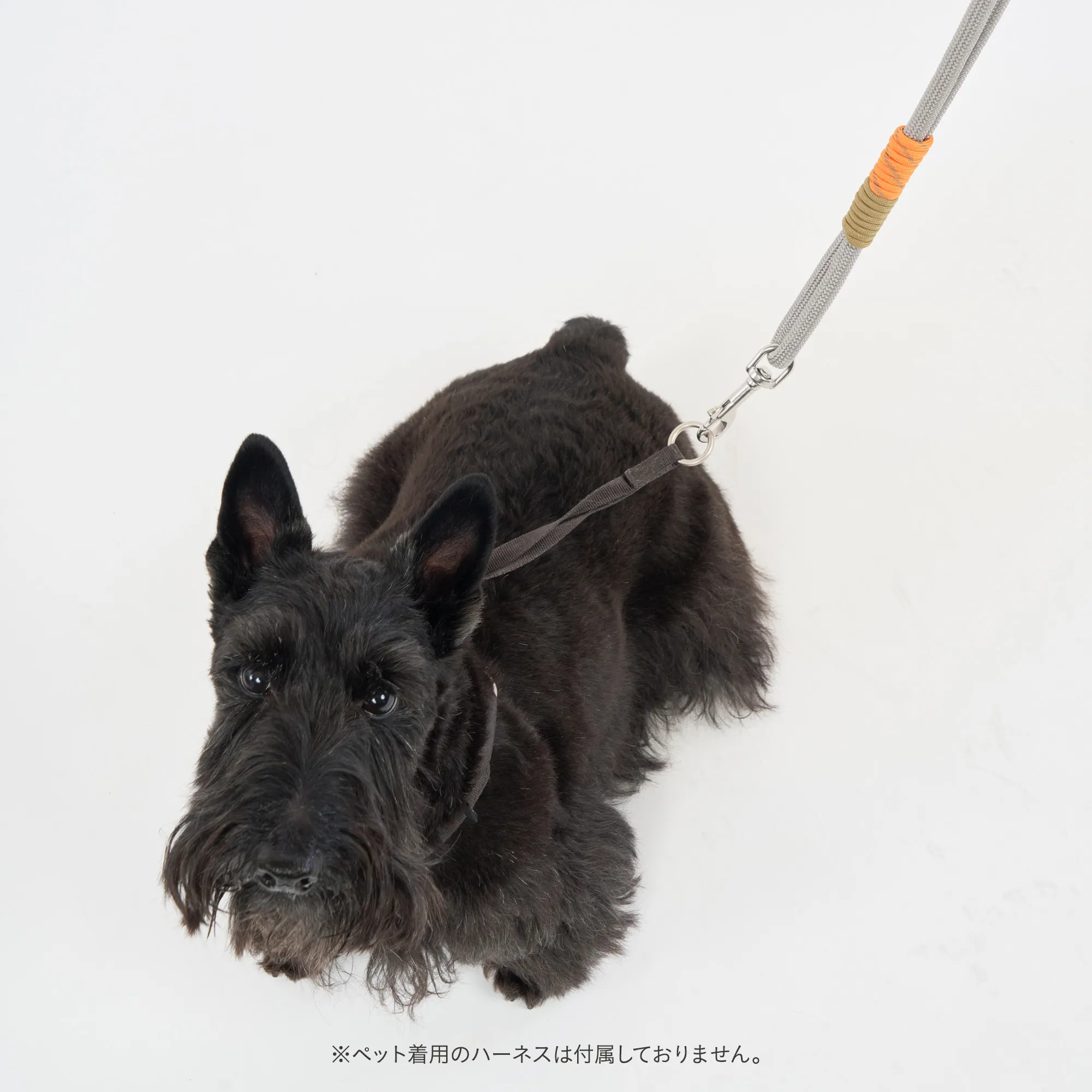 ヨセミテ　スマホストラップ　ドッグリード