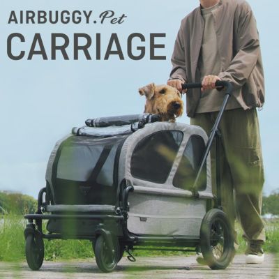 少し考えますエアーバギーAIRBUGGYキャリッジ