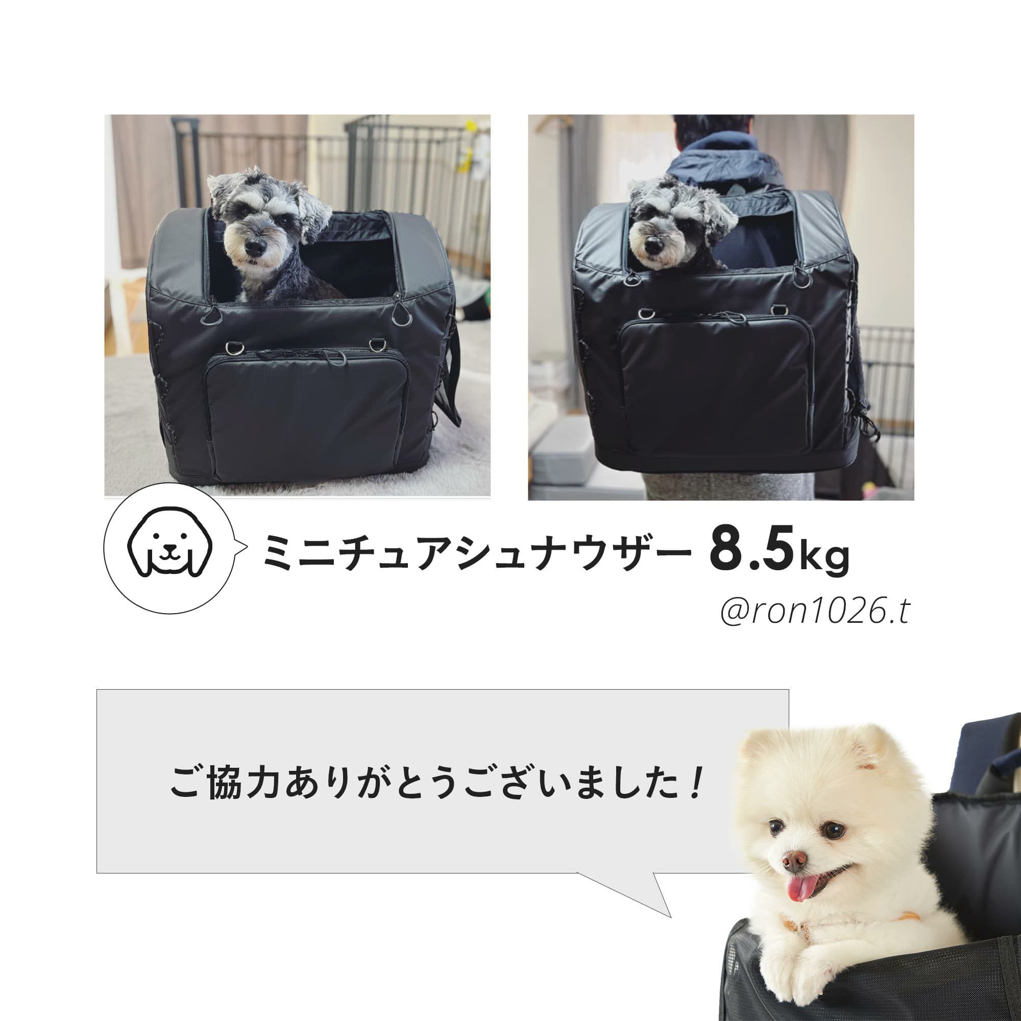 ミニチュアダックス用 PORTER生地黒 ナイロン 軋む キャリーバッグ
