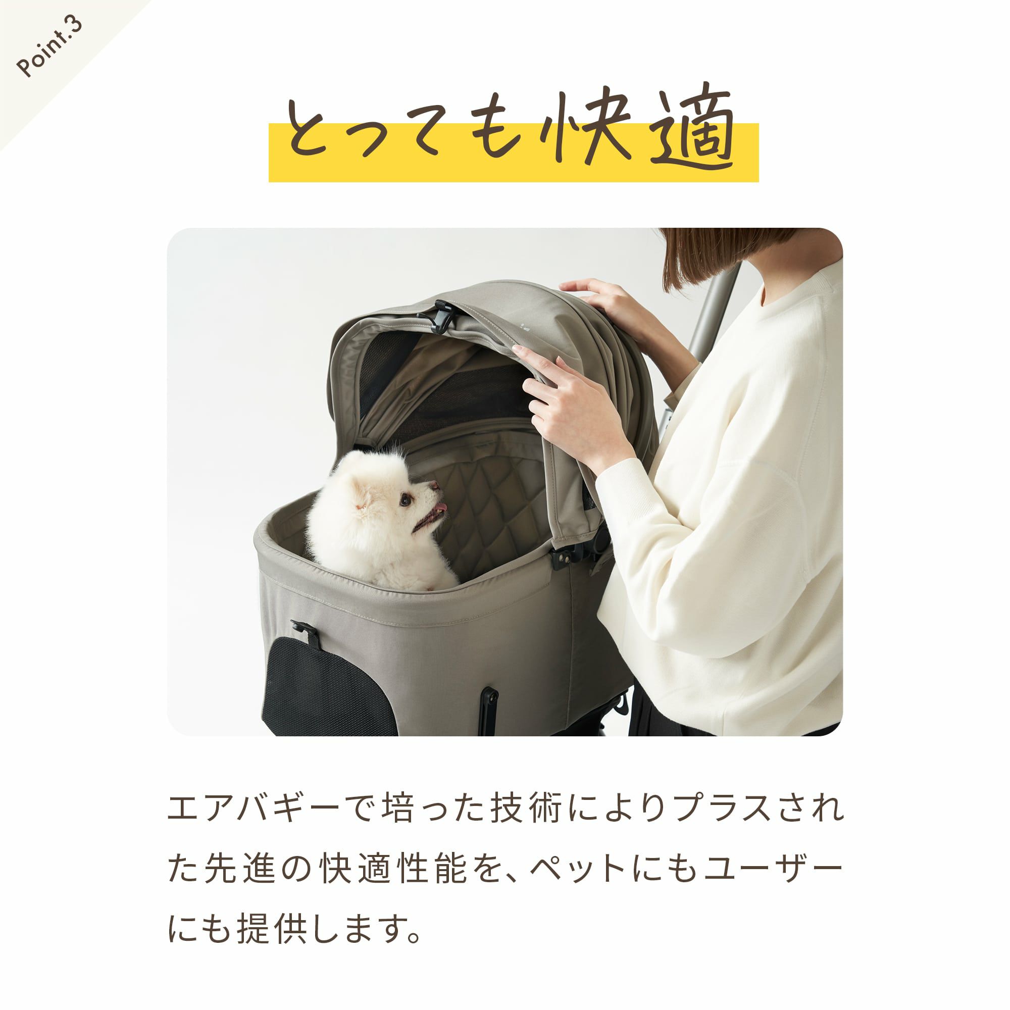 エアバギー フィットウィズエックス美品