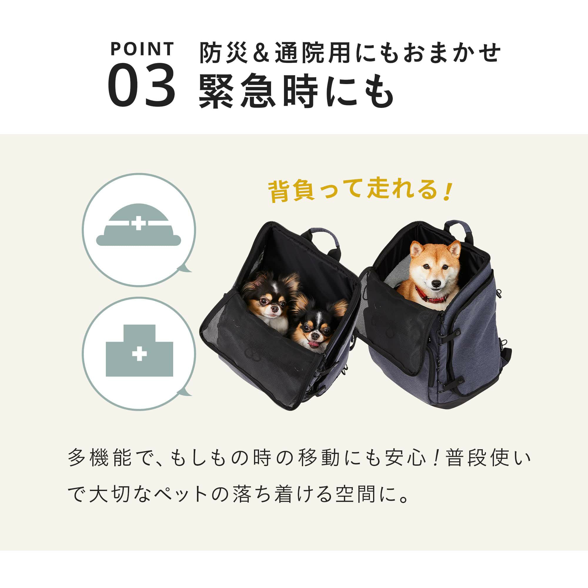 エアバギー 3ウェイバックパックキャリー [レギュラーサイズ 