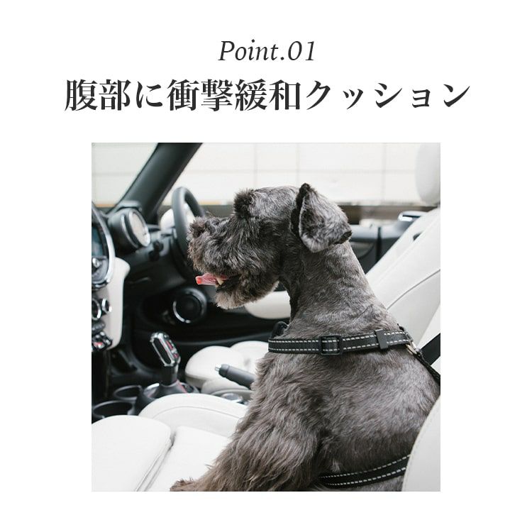 bag付きハーネス qp-kb002-main.jpg