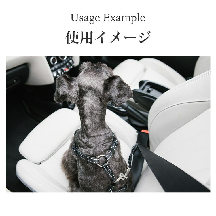 首輪・ハーネス・リード Air Buggy For Dog M 000000001631-07-l.jpg?t=