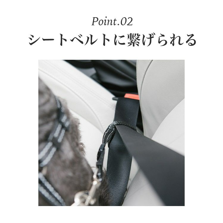 交通障害 セーフティハーネス Lサイズ30kg未満 その他 | tunegocio.pe