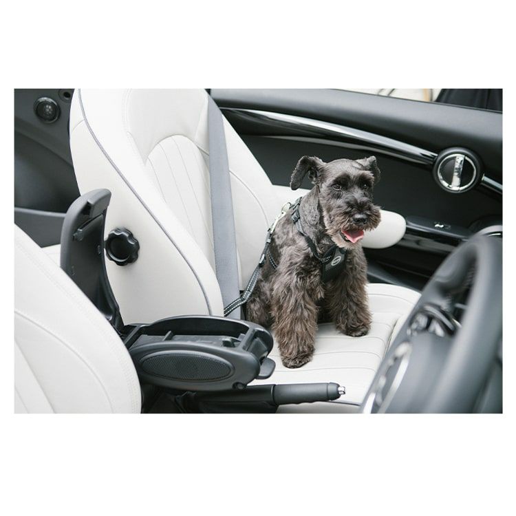 トラベル セイフティ ハーネス Lサイズ | エアバギー公式オンライン