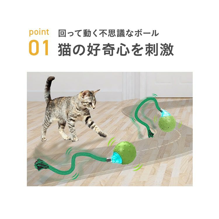 豆猫 51Xms6CQQrL._UF894,1000_QL80_.jpg
