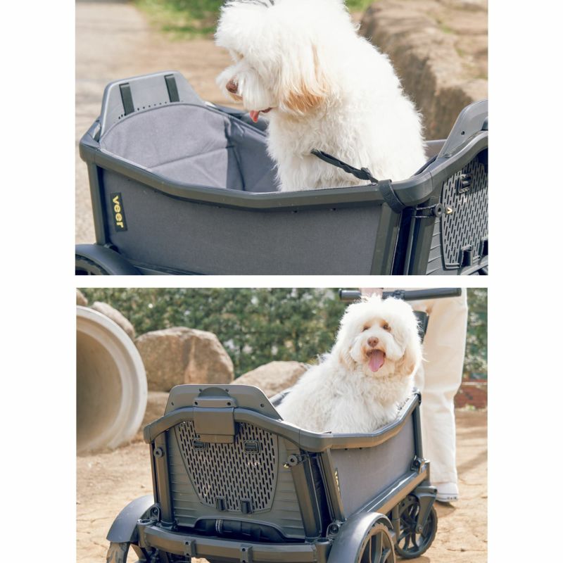 【試着のみ】 BIGベビーエイリアンペンダントトップ SV925 ※注意事項あり 試着のみ】 BIGベビーエイリアンペンダントトップ SV925 ※注意