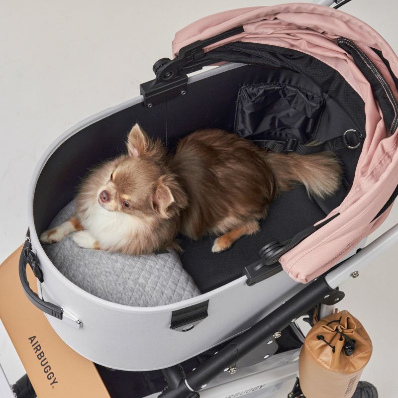 リバーシブルクッション | エアバギー公式オンラインストア[AIRBUGGY