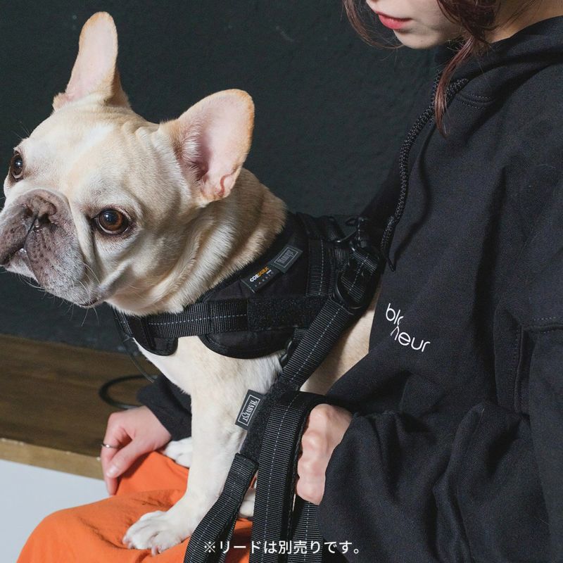 MaxAire Mesh Vest — Dogline