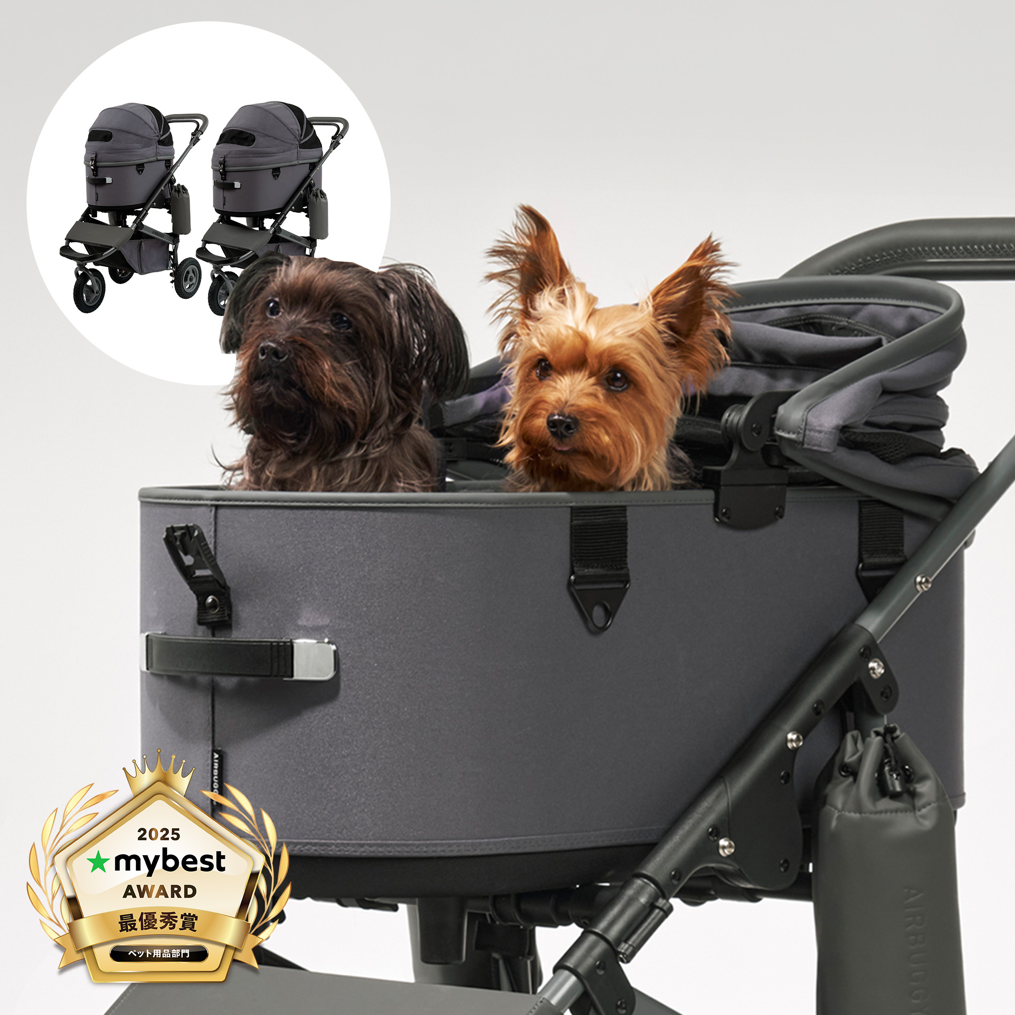 タイヤ交換済】Air Buggy Dome2 印象深い エアバギーフォードッグ ブラウン