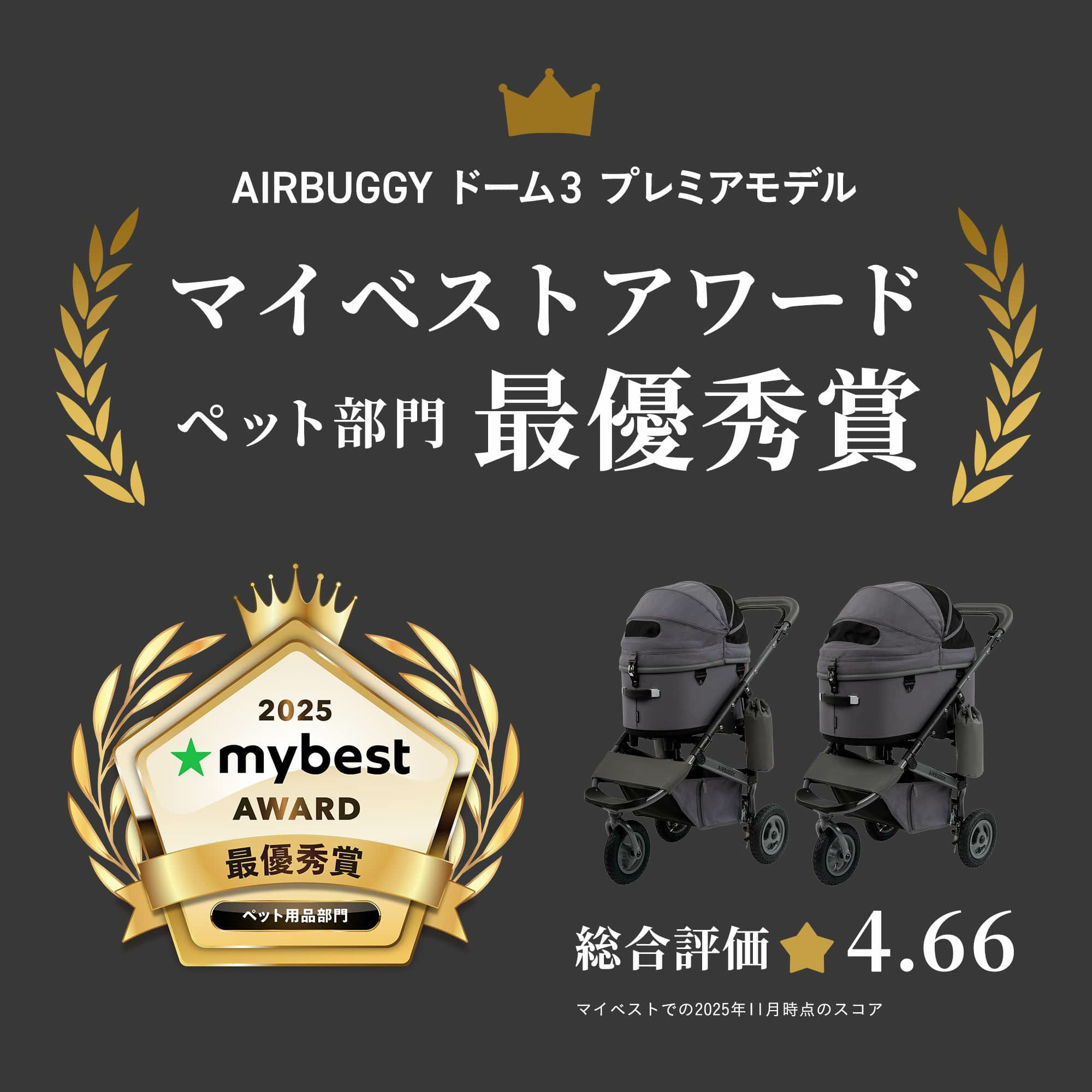 5000円引き【カバー＆バッグ付き】エアバギーDOME 3 グレー AIRBUGGY（エアバギー） 【公式】エアバギー ドーム3 プレミアモデル