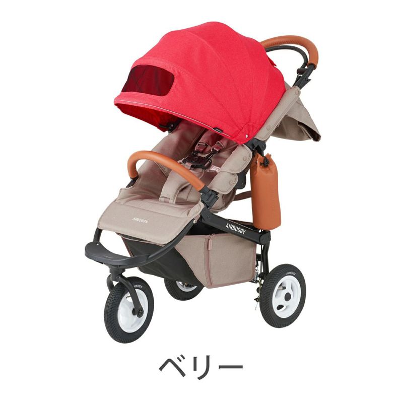 ココブレーキEXフロムバース＋エアバギー純正オプション＋